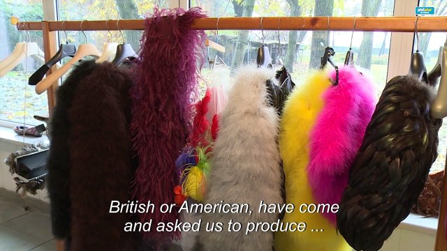 Fashionable feathers: Italian designer's life in plumes