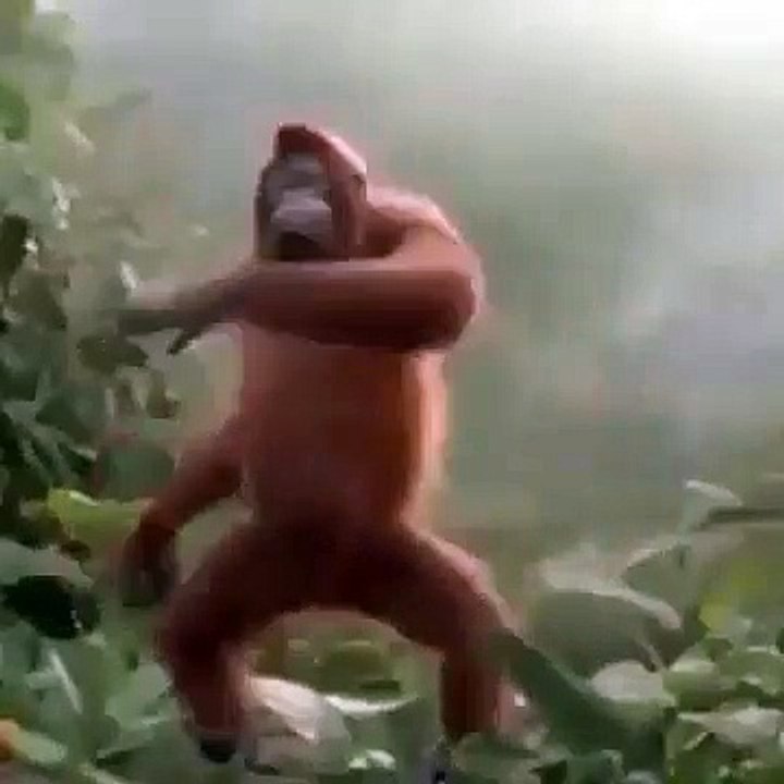 Tag someone who dances like this!