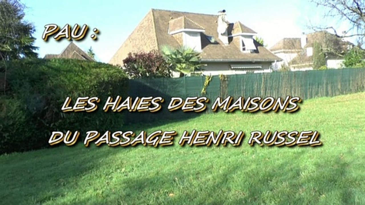 LES OBSERVATIONS DE MICHOU W-D.D. - 10 DÉCEMBRE 2019 - PAU - LES HAIES DES MAISONS DU PASSAGE HENRY RUSSEL