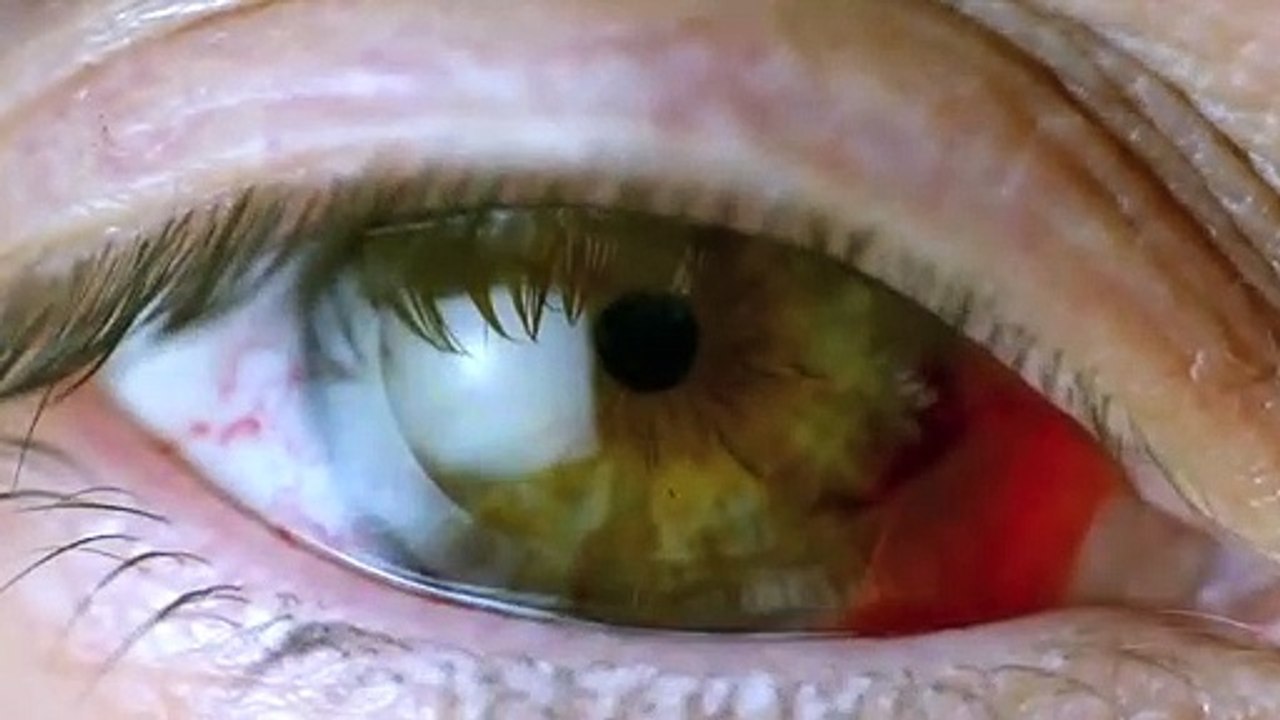 WAYWARD PINES - New FOX Series | TRAILER | HD