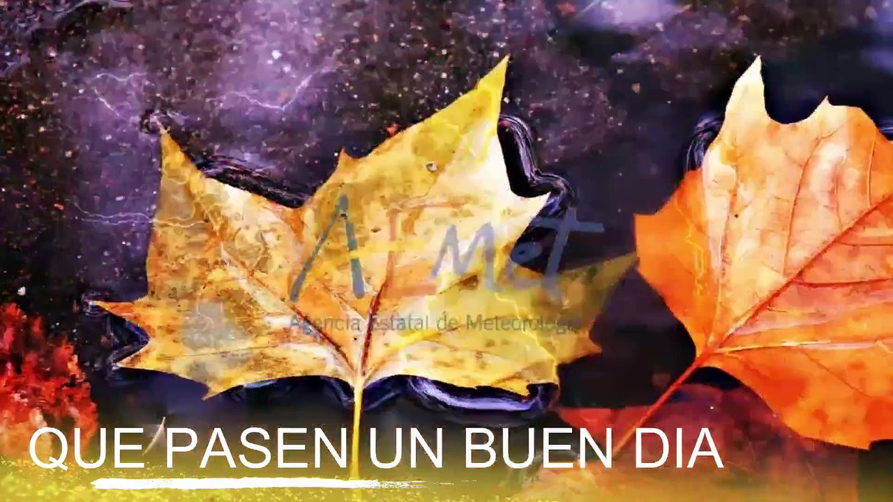 Conoce El Tiempo de Hoy Lunes 16 de Diciembre de 2019