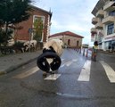 Kafasına araba lastiği takılan inek böyle kurtarıldı