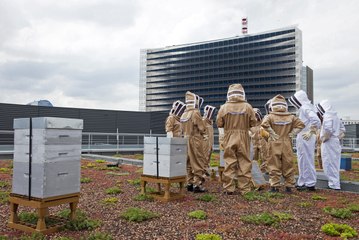 Environnement : quand le kaki vire au vert (JDEF)