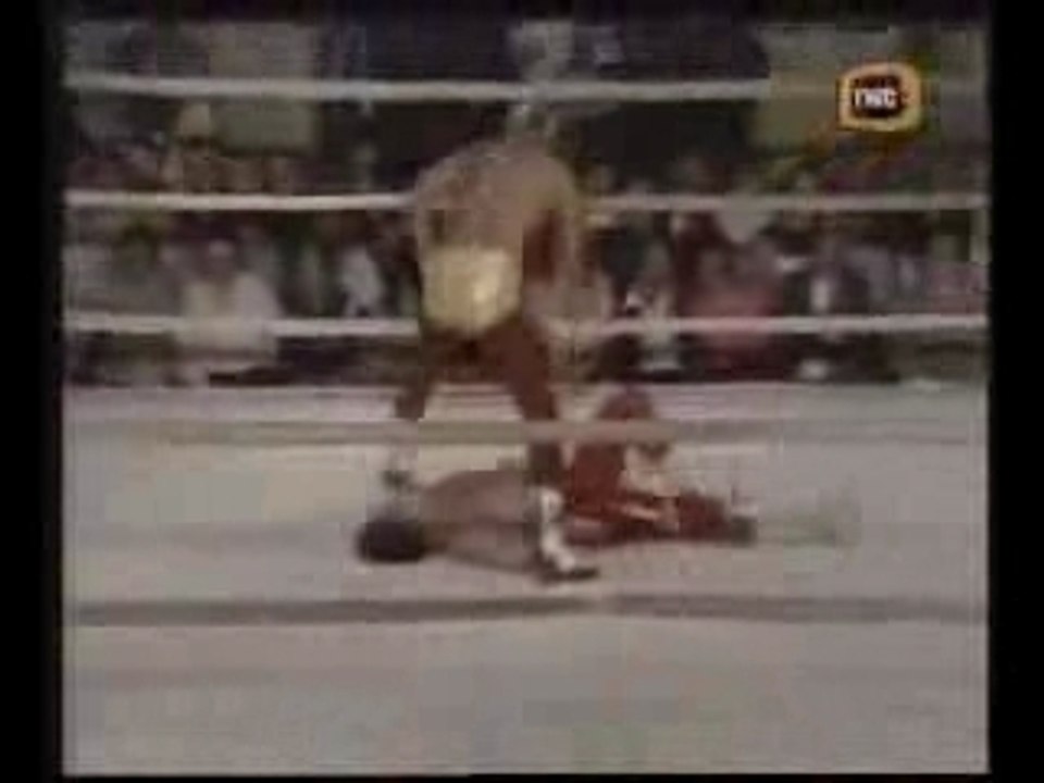 Dynamite Kid Vs The Cobra