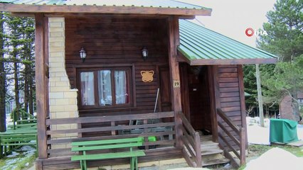 Uludağ'da yavru köpekler donmaktan kurtarıldı