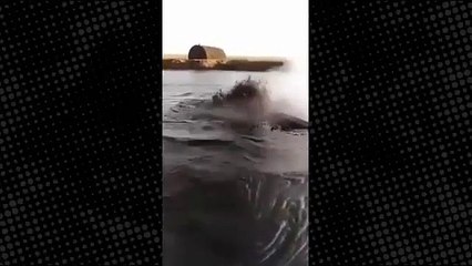 Neden ayrılmak istemedikleri belli oldu! Kazma vurulan yerden petrol fışkırıyor