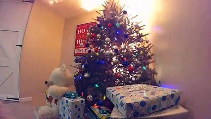 Vídeo viral:  Mira lo rápido que arde un árbol de Navidad natural si dejas que se seque