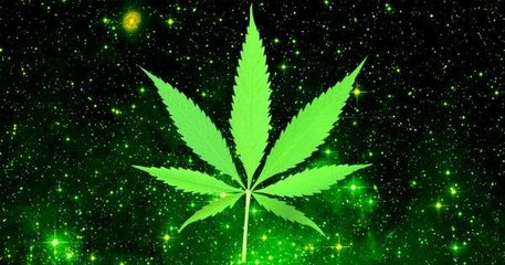 SpaceX veut envoyer du cannabis dans la Station Spatiale Internationale