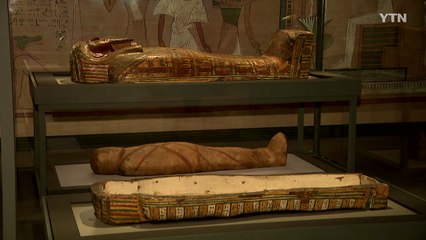 "영원을 꿈꾼다"...2,700년 전 이집트 미라 우리나라 찾다 / YTN