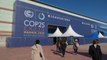 COP25: la gran decepción de los ambientalistas