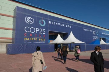COP25: la gran decepción de los ambientalistas