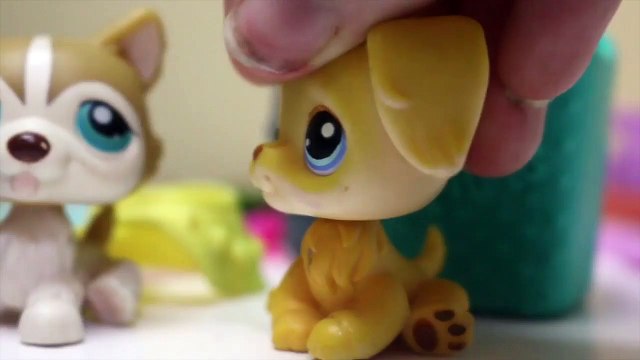 Littlest pet shop- chaos in the studio- supermarket disaster