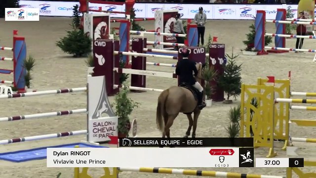 GN2019 | SO_15_Paris | Pro Elite Grand Prix (1,50 m) Grand Nat | Benoit CERNIN | CIESTO VD VOGELZANG Z