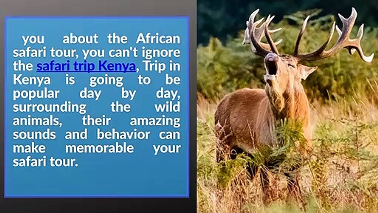 African safari packages
