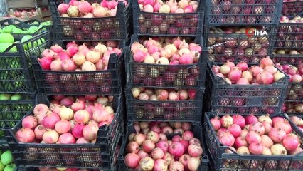 'Zivzik' narı hem üreticinin hem de tüketicinin yüzünü güldürdü