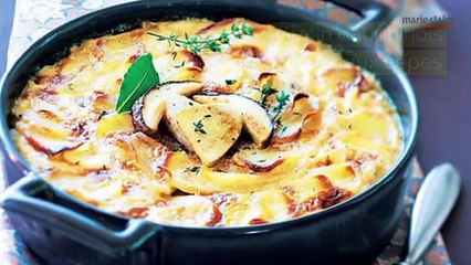 Accompagnements pour les plats de Noël