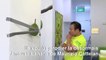 Singapour: un vendeur de durian parodie l'oeuvre de la banane scotchée au mur