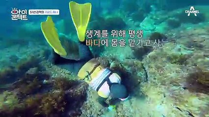 51년 경력의 가파도 해녀 등장! 집에서 '왕' 하나를 키운다...?