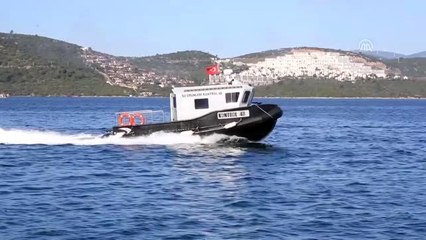 Üretilen balığın yüzde 50'si Avrupa'ya ihraç ediliyor