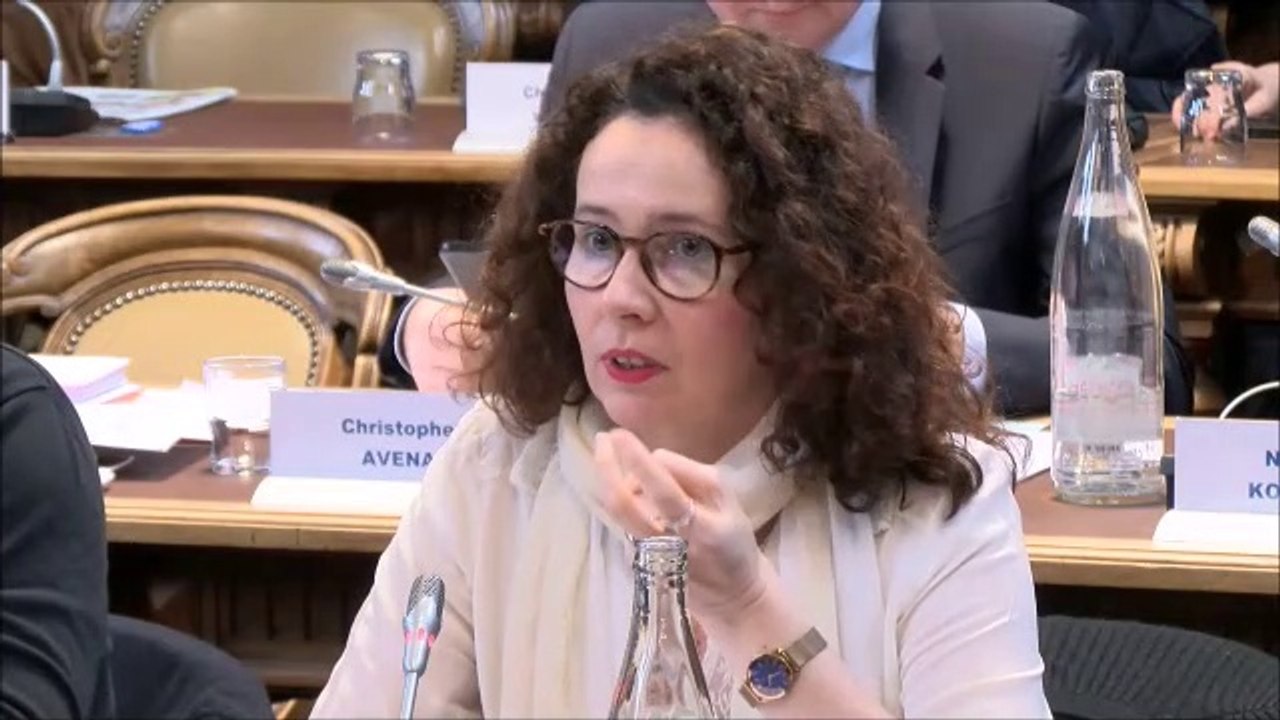 Sandrine HILY. Discussion générale. Session BP 2020 du 16 décembre 2019