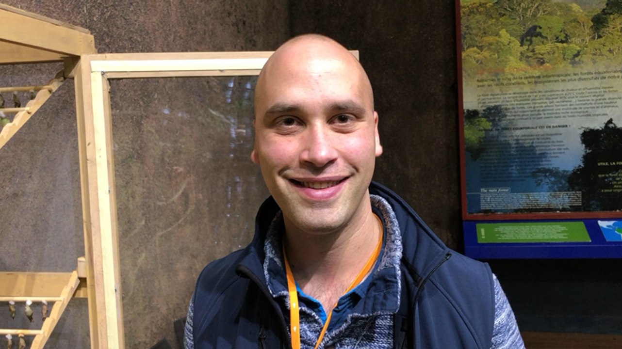 Brest. Les papillons tropicaux, joli cadeau de Noël d’Océanopolis