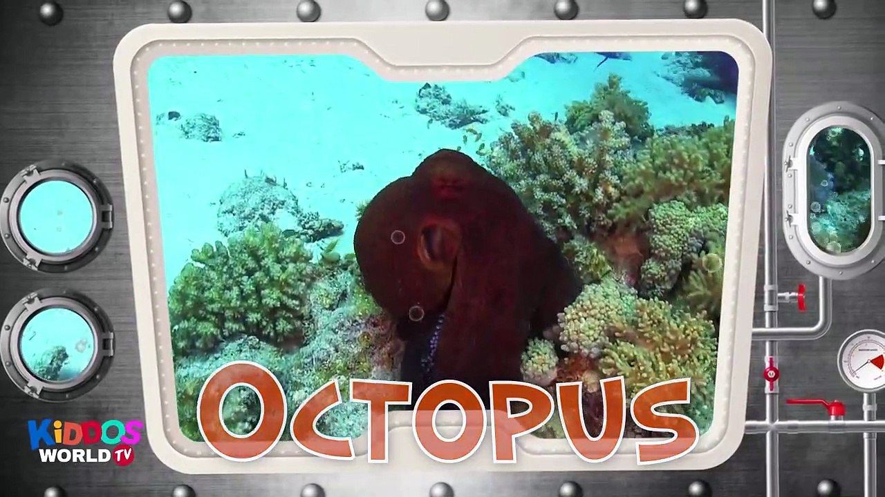 Sea Animal Puzzle for Kids - Learn Sea Animals Names - Ocean Animal Videos for Children