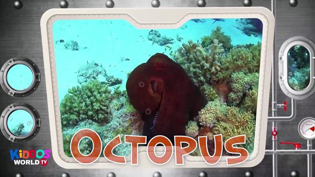 Sea Animal Puzzle for Kids - Learn Sea Animals Names - Ocean Animal Videos for Children