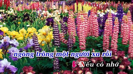 Canh Dong Bo Cong Anh - Dai Nhan-Hoa Mi
