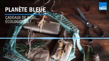 1/10 : Les cadeaux de Noël écologiques