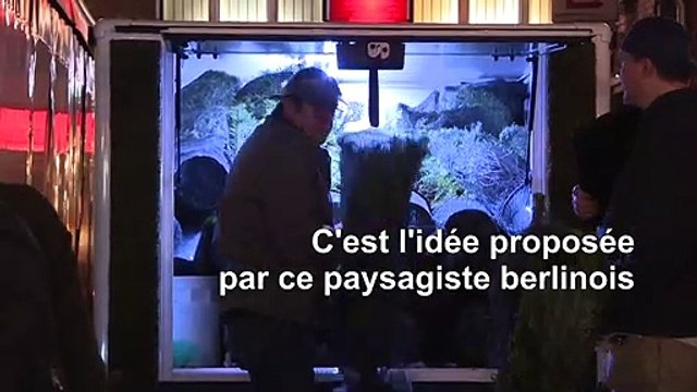 À Berlin, on peut louer des sapins de Noël