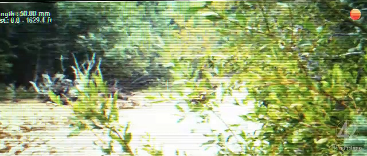 Fishing Naked Movie Trailer (#FishingNaked)