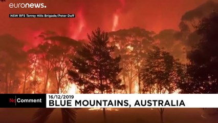 Australia firefighters battle expanding Gospers Mountain blaze