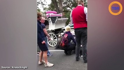 Il insulte et violente son cheval qui s’est effondré de fatigue