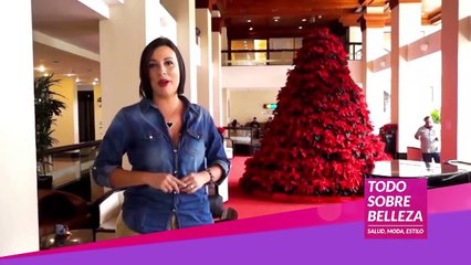 Todo Sobre Belleza 14 dic 19