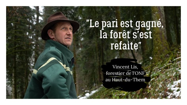 Vincent Lis, forestier de l'ONF : Le pari est gagné, la forêt s'est refaite