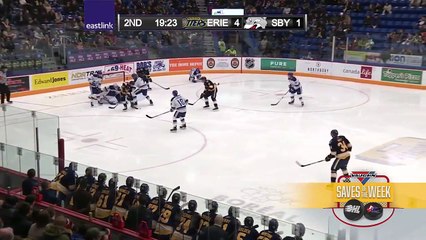 OHL Vaughn Saves of the Week – Week 13