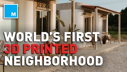 3D printed neighborhood for people on less than $3 a day