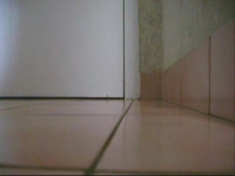 Evasion pq