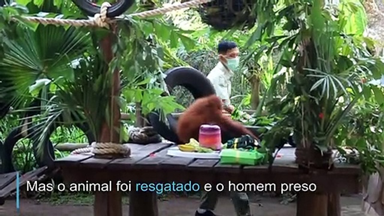 Bon bon volta pra casa