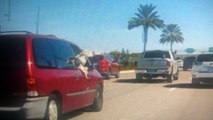 Dog Jumps From Van During Sudden Stop