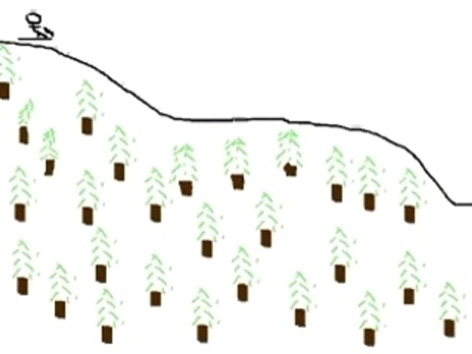 Luge animation