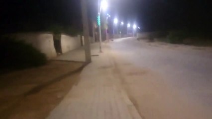 نحن المغاربة من المغرب الى ليبيا لا نخاف زائر الفئران وكلاب الشوارع