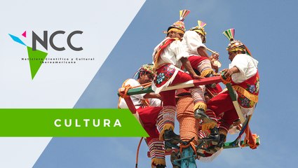 Los ni­ños to­to­na­cas sí pue­den vo­lar