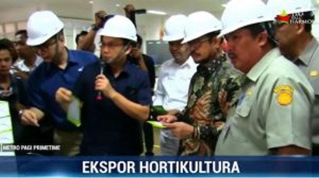 Mentan Lepas Ekspor Benih Sayuran PT Ewindo