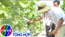 Nông dân Thừa Thiên Huế làm giàu từ mô hình nông nghiệp đô thị