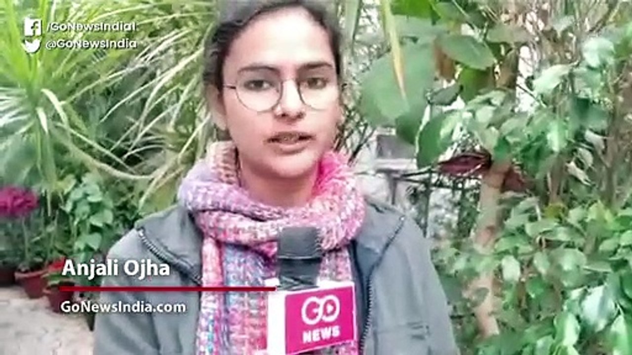 झारखंड विधानसभा: पांचवें चरण के चुनाव में 18 फीसदी उम्मीदवारों पर गंभीर अरपराध का केस