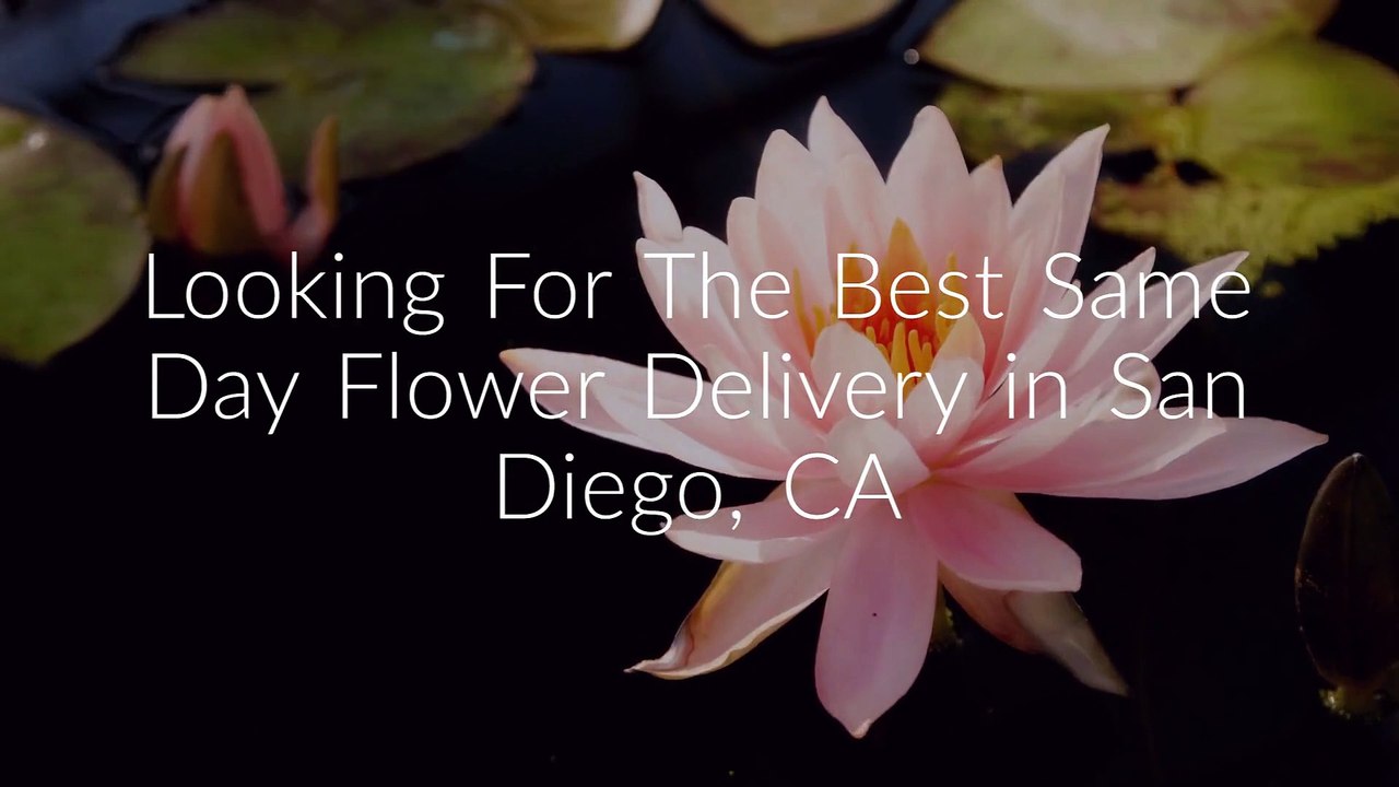 Same Day Flower Delivery San Diego, CA (619) 3245940 video Dailymotion