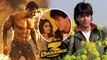 Shah Rukh Khan's DDLJ CAMEO With Salman Khan In Dabangg 3 Movie | Saiee Manjrekar