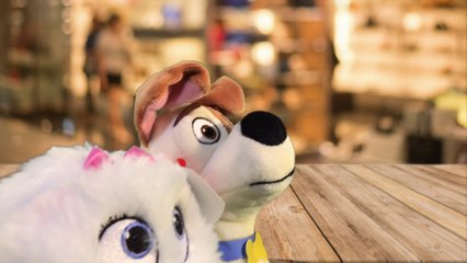 Plush The Secret Life of Pets: Max and Gidget's First Date