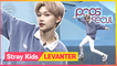 [Pops in Seoul] Felix's Dance How To! Stray Kids(스트레이 키즈)'s Levanter
